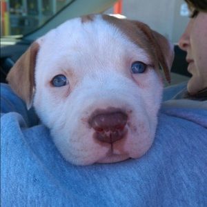 Meet your Posher, Keisha